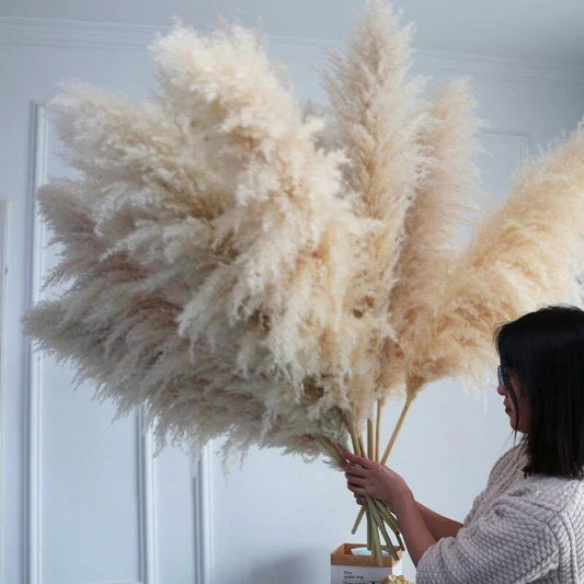 110 - 120cm Large Plume,Dried Fluffy Pampas Grass,Wholesale Boho Wedding Decor,Natural Real Flower,Home Decor,Garden Decoration