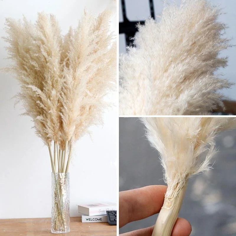 110 - 120cm Large Plume,Dried Fluffy Pampas Grass,Wholesale Boho Wedding Decor,Natural Real Flower,Home Decor,Garden Decoration